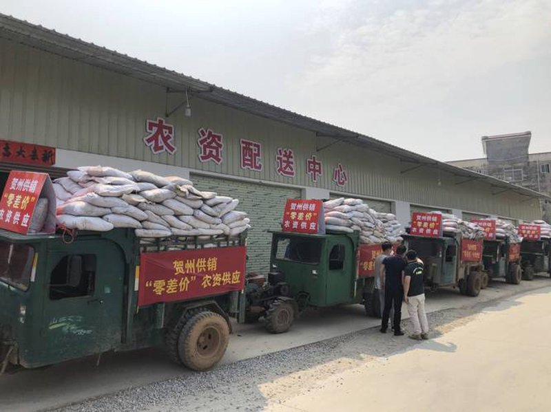 选购农膜小贴士：让你的作物更加茁壮成长